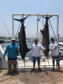 Manzanillo Sport Fishing